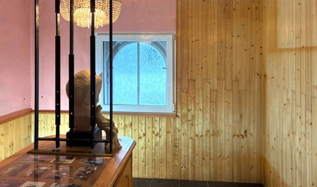 Prodej domu 123 m² s pozemkem 379 m², Náchod – náhled fotky 11