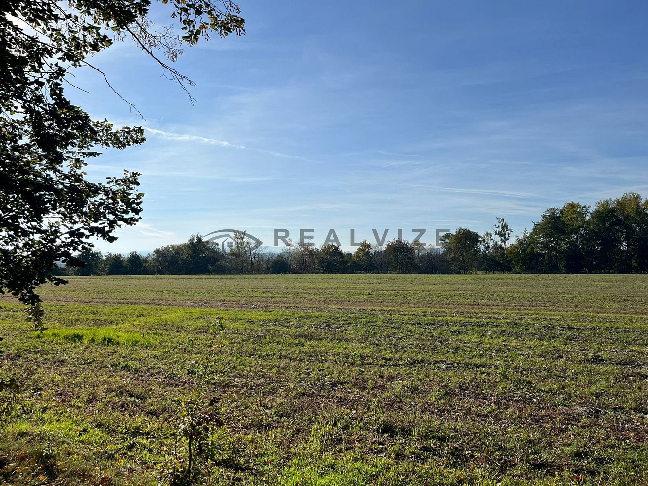 Prodej stavebního pozemku 3 531 m² – fotografie 3