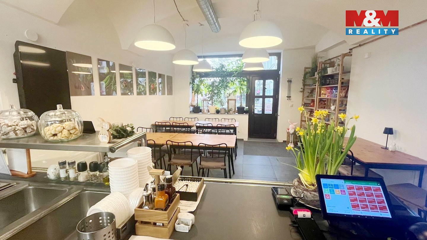 Pronájem obchodních prostor 45 m² – pohled 3