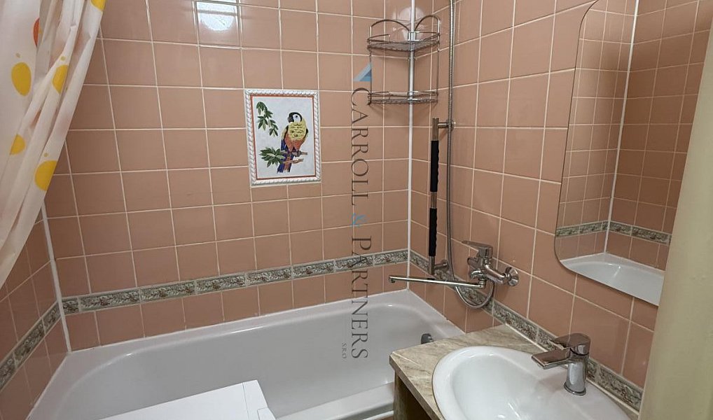Pronájem bytu 2+1 53 m², Ostrava – náhled fotky 9