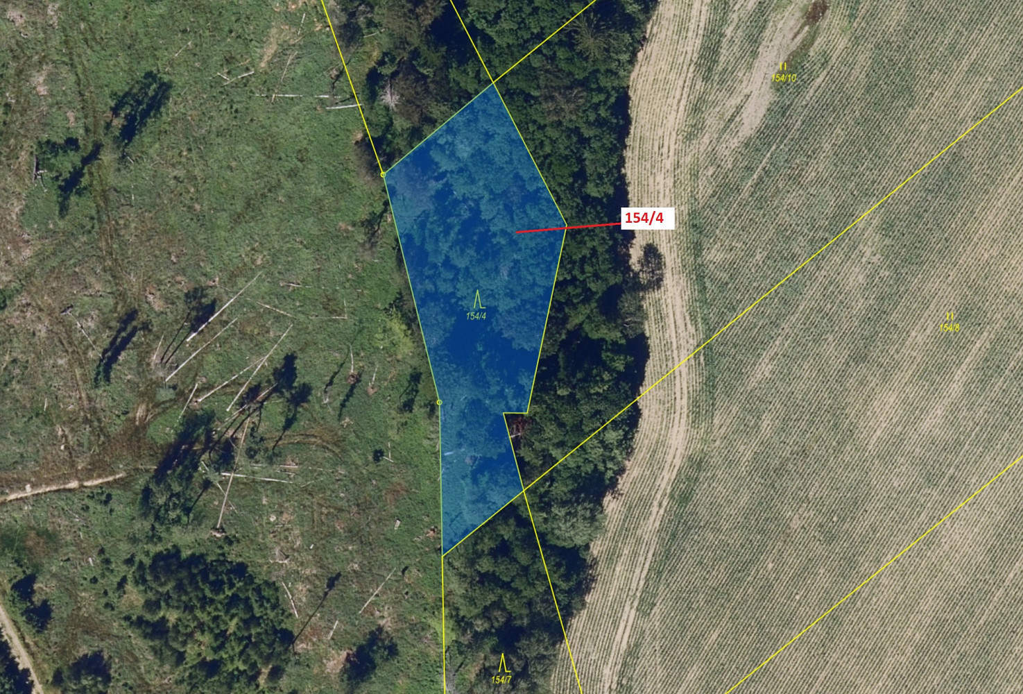 Dražba lesa 2 471 m² — photo 2
