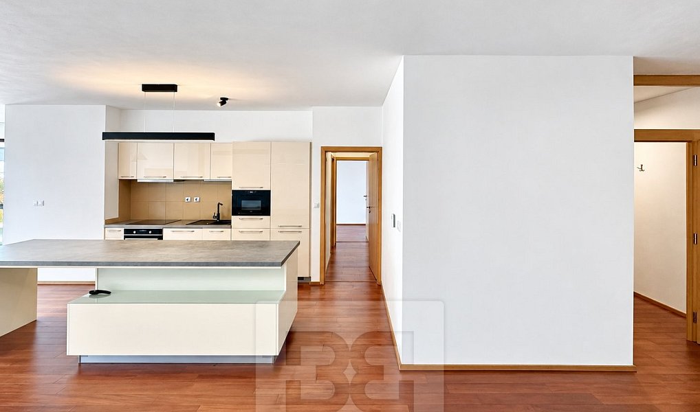 Pronájem bytu 3+kk 138 m², Praha – náhled fotky 4