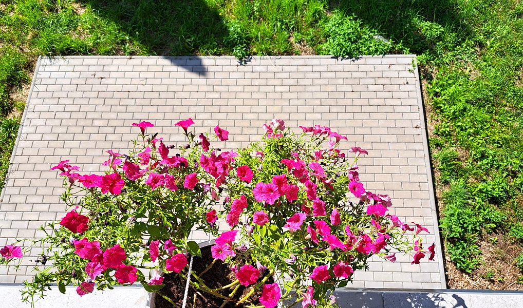 Prodej domu 230 m² s pozemkem 1 280 m², Podhradí – náhled fotky 20