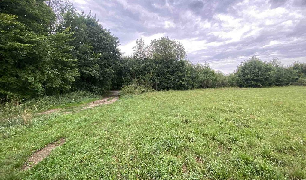 Prodej pole 950 m², Potštejn – náhled fotky 2