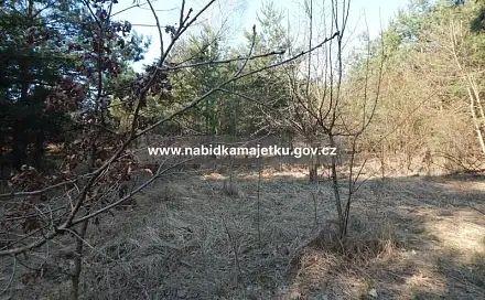 Prodej pozemku 4 835 m², Hradec Králové