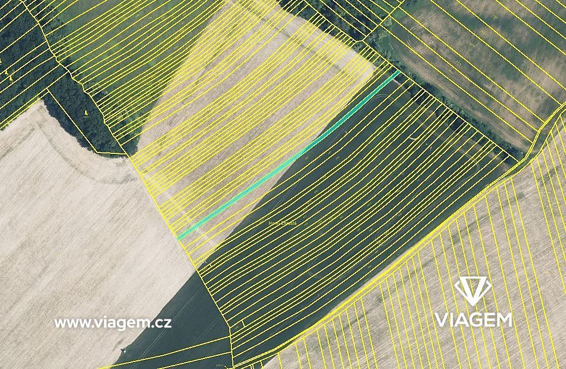 Prodej pole 608 m² – pohled 4