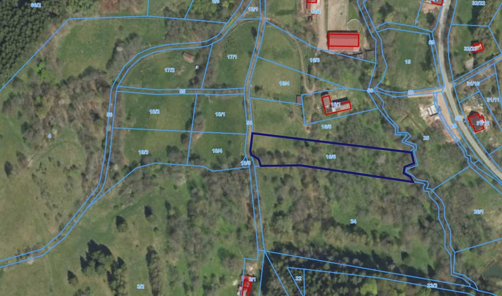 Prodej stavebního pozemku 4 589 m², Olešnice v Orlických horách – náhled fotky 5