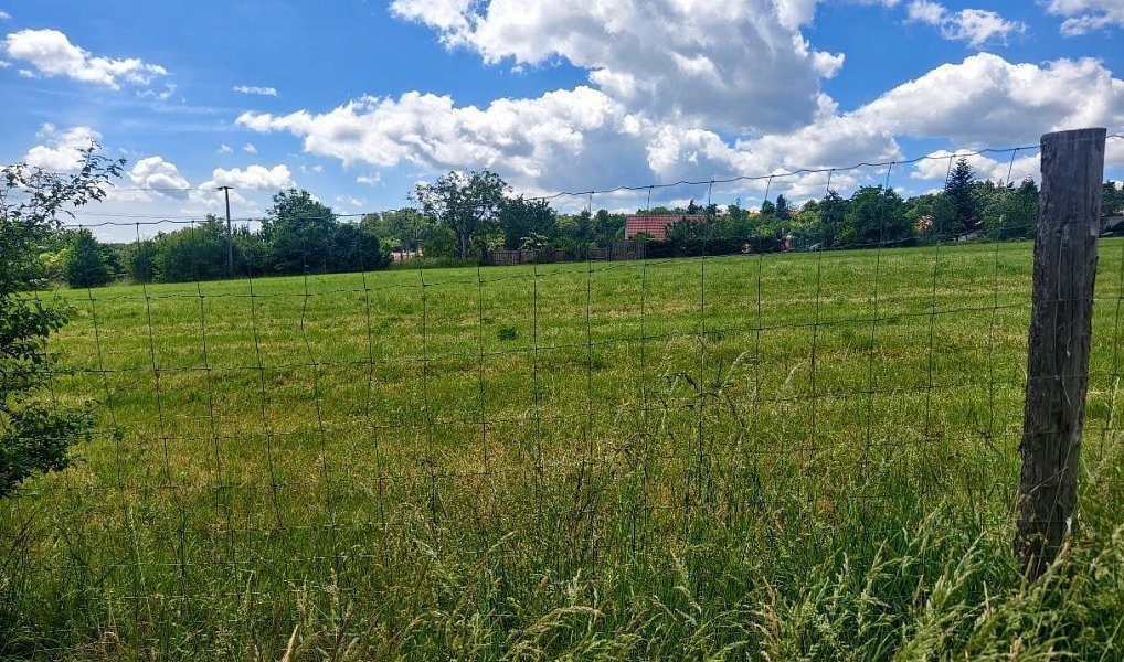 Prodej stavebního pozemku 867 m², Radslavice – náhled fotky 5