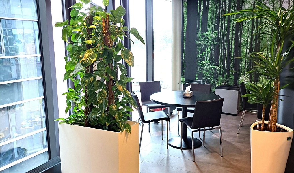 Pronájem kanceláře 495 m², Praha – náhled fotky 5