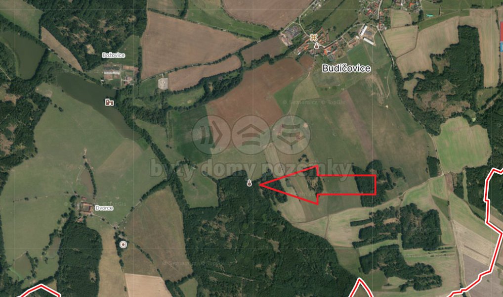 Prodej lesa 5 564 m², Skály – náhled fotky 2