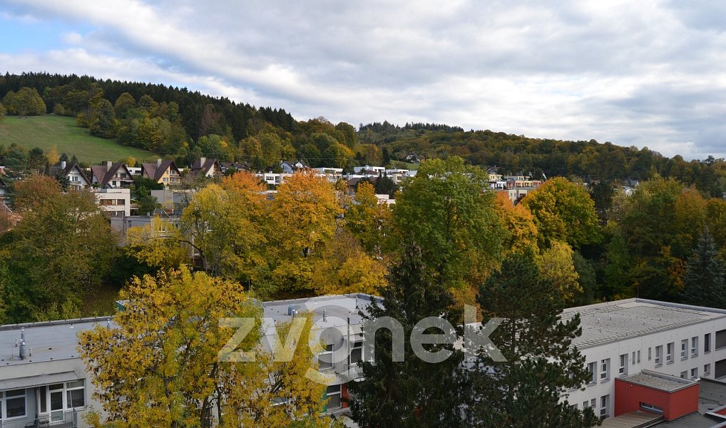 Pronájem bytu 2+1 48 m², Vsetín – náhled fotky 4