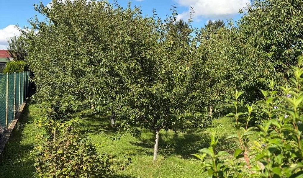 Prodej stavebního pozemku 942 m², Plaňany – náhled fotky 2