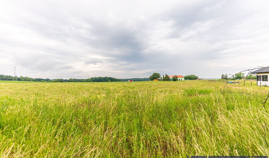 Prodej stavebního pozemku 1 941 m², Kasalice – náhled fotky 8
