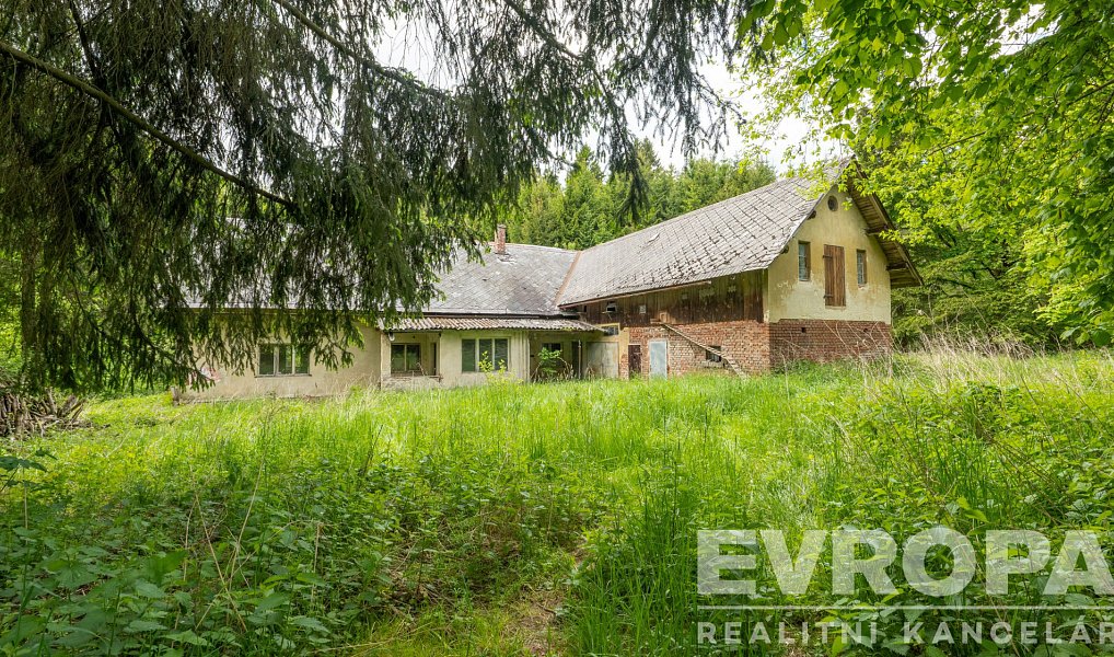 Prodej domu 241 m² s pozemkem 16 181 m², Bílá – náhled fotky 4