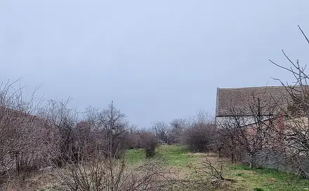 Ostatní