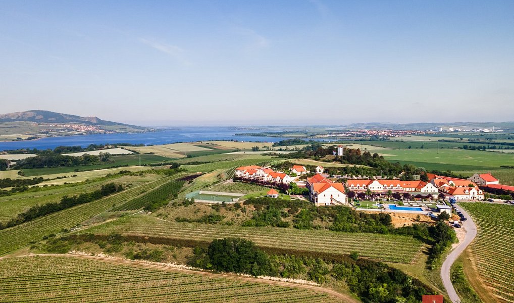 Prodej pozemku 256 256 m², Zaječí – náhled fotky 4