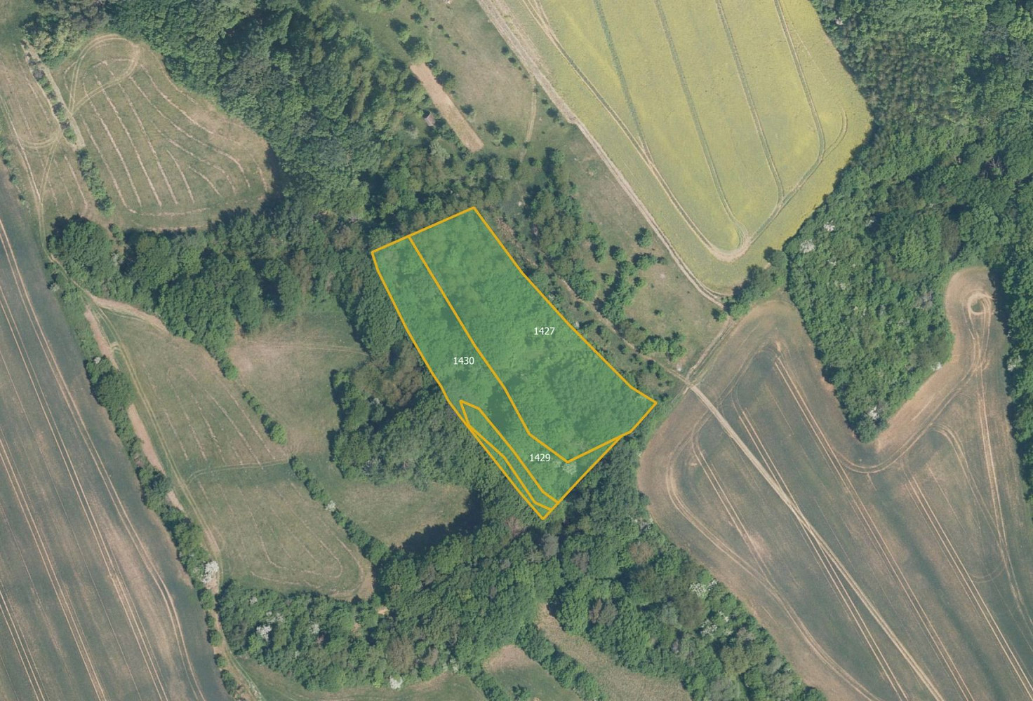 Prodej pole 15 472 m² — photo 3