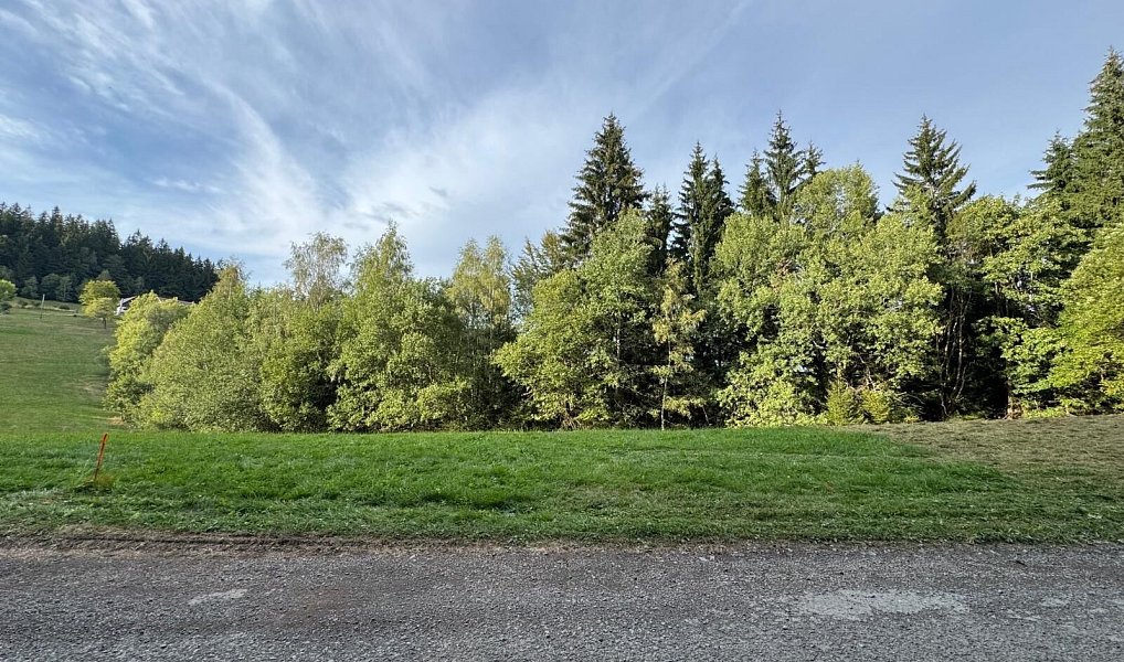 Prodej pozemku 1 194 m², Hutisko-Solanec – náhled fotky 4