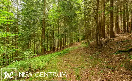 Prodej louky 1 867 m², Víchová nad Jizerou, okres Semily