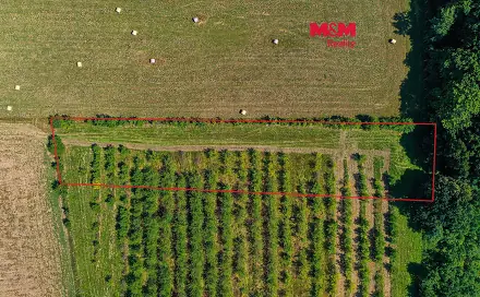 Prodej pole 2 771 m², Polom, okres Přerov