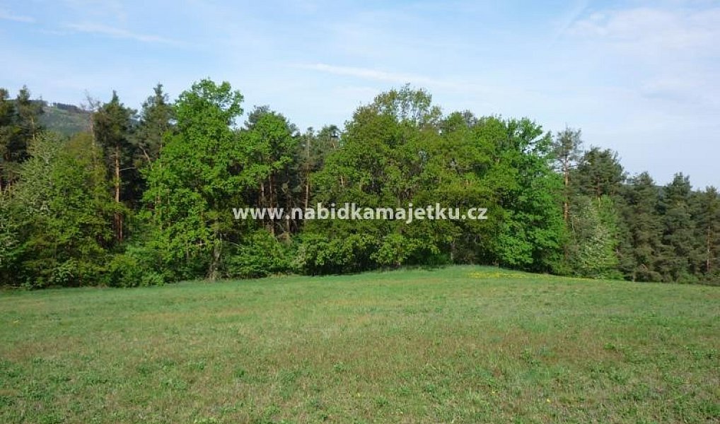 Prodej lesa, 16015 m², České Budějovice, Hradce