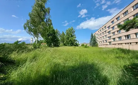 Prodej komerčního pozemku 2 803 m², Veselí nad Lužnicí, okres Tábor