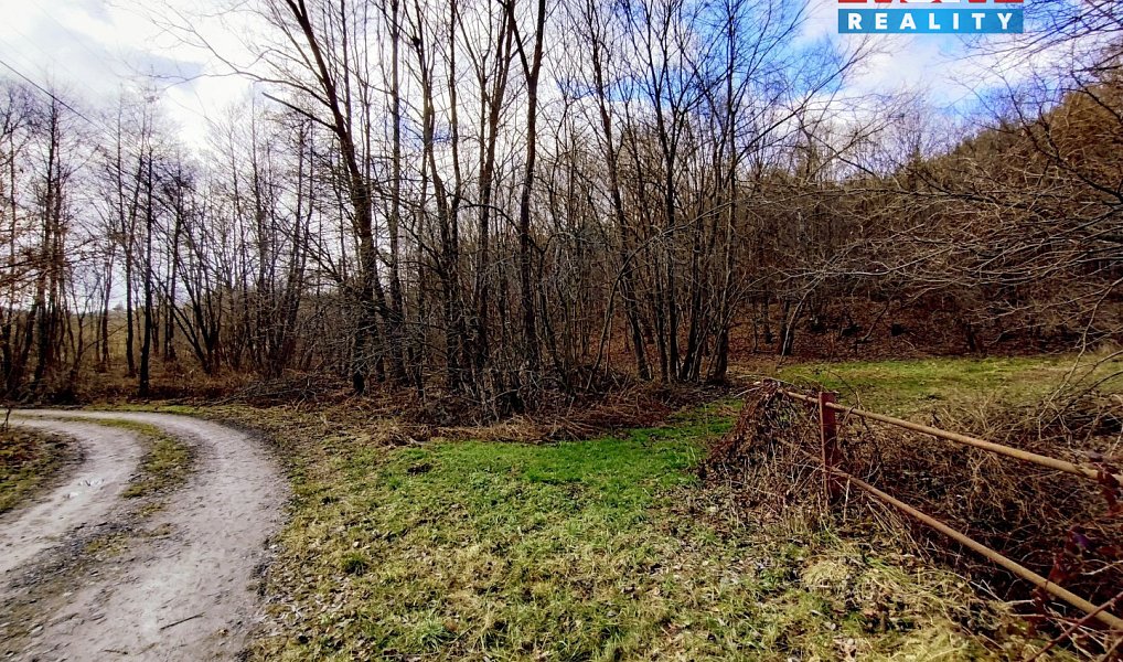 Pronájem louky 931 m², Slatina – náhled fotky 4