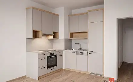 Pronájem bytu 1+kk 44 m²