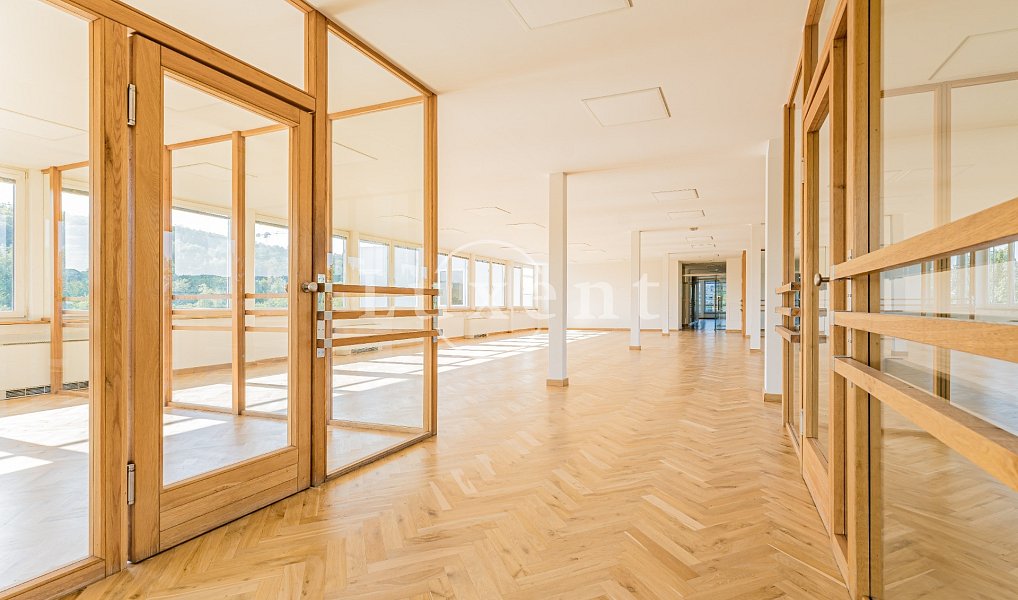 Pronájem kanceláře 257 m², Praha – náhled fotky 3