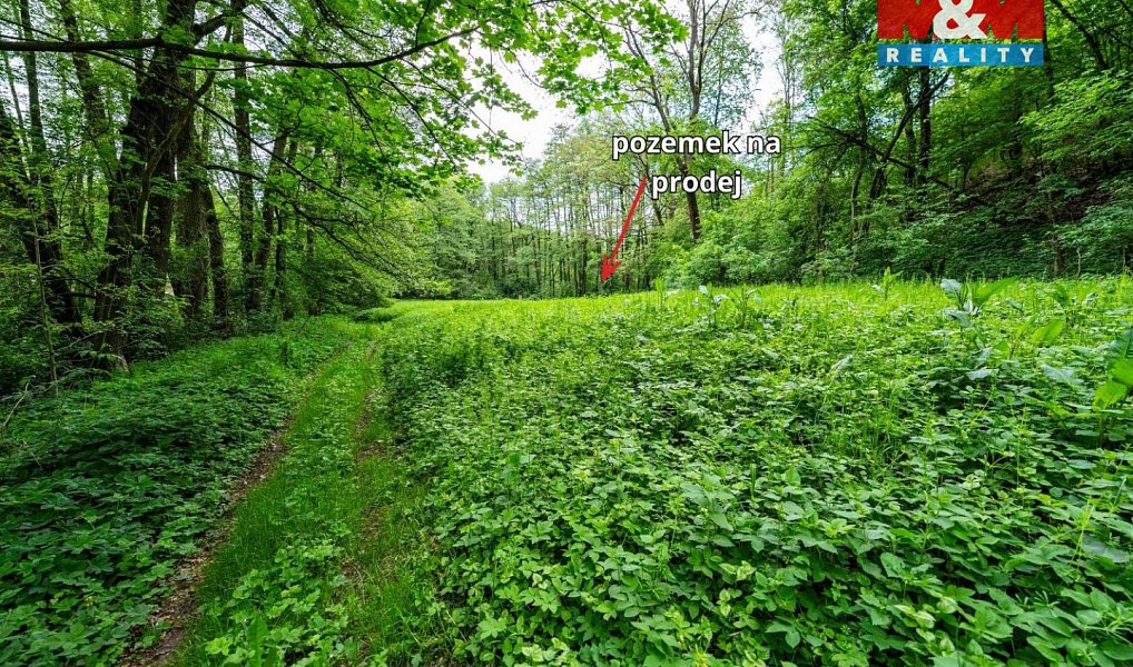 Prodej lesa 491 m², Červené Pečky – náhled fotky 3