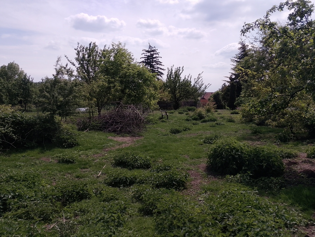 Prodej stavebního pozemku 2 114 m² — photo 4