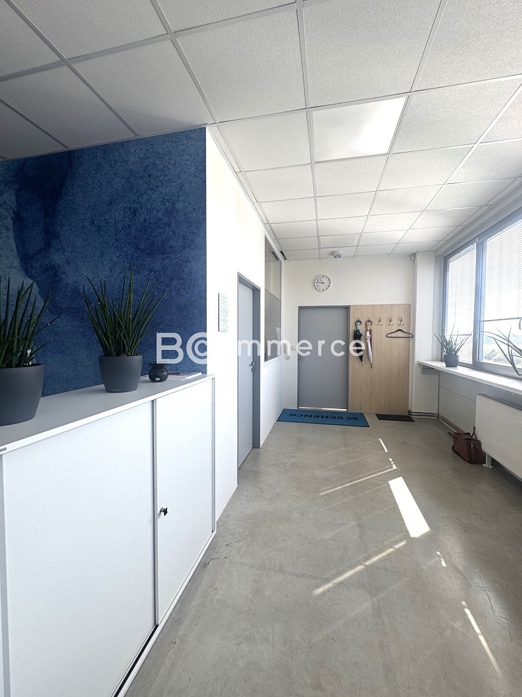 Pronájem kanceláře 146 m² – fotografie 5