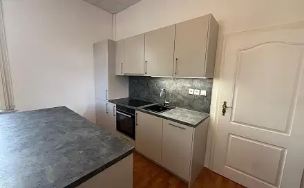 Pronájem bytu 3+1 150 m², Sadová, Most - Čepirohy