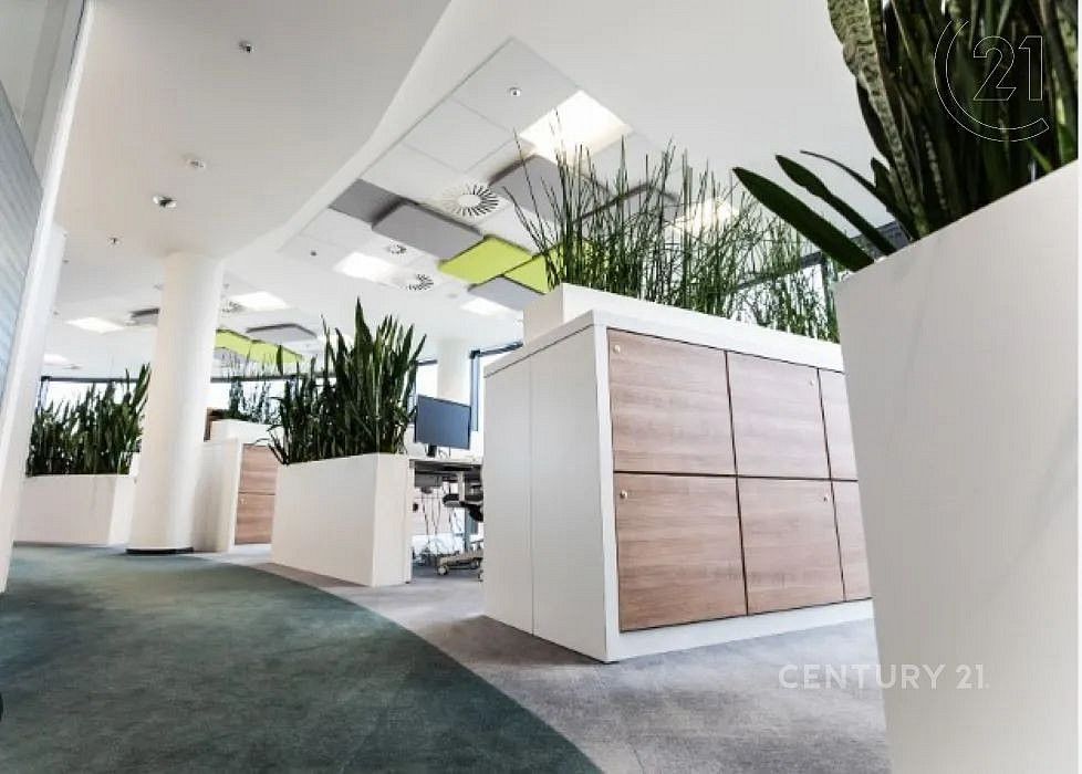 Pronájem kanceláře 902 m² – fotografie 4