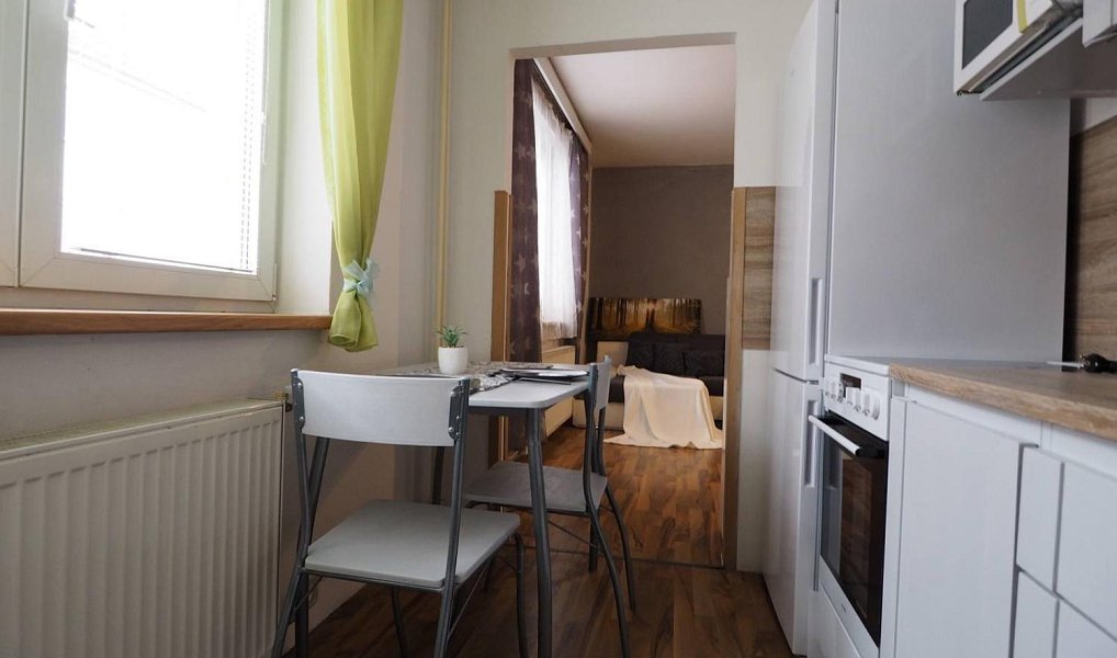 Pronájem bytu 1+kk 36 m², Týniště nad Orlicí – náhled fotky 2