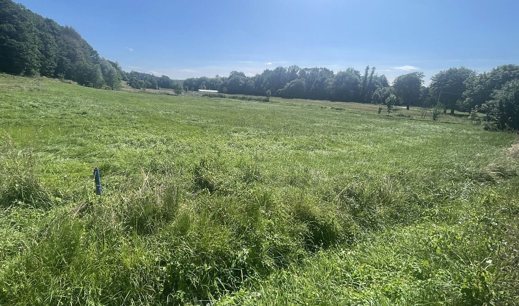 Prodej stavebního pozemku 1 426 m², Albrechtice – náhled fotky 3