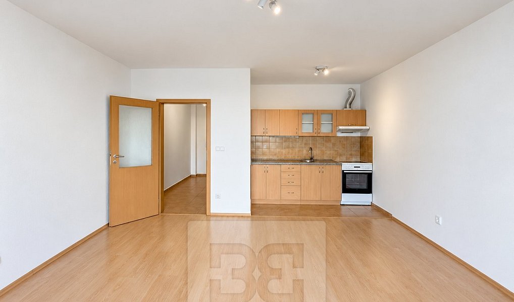 Pronájem bytu 1+kk 42 m², Liberec – náhled fotky 2