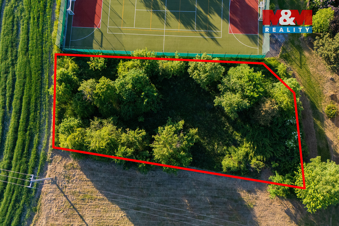 Prodej zahrady 1 290 m² – fotografie 5