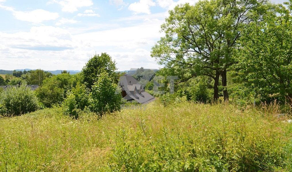 Prodej pozemku 1 500 m², Staré Město – náhled fotky 11