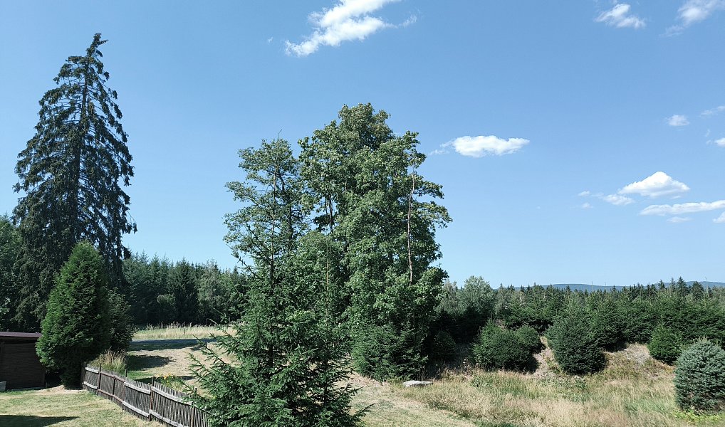 Prodej chaty/chalupy 85 m² s pozemkem 400 m², Jindřichovice – náhled fotky 39