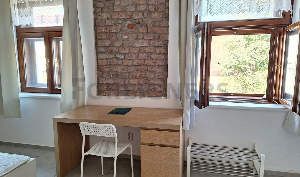 Pronájem bytu 1+kk 25 m², Olomouc – náhled fotky 3