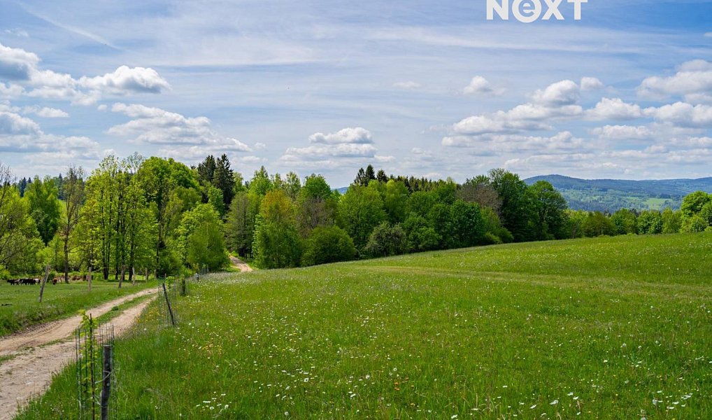 Prodej pozemku 18 124 m², Přídolí – náhled fotky 2