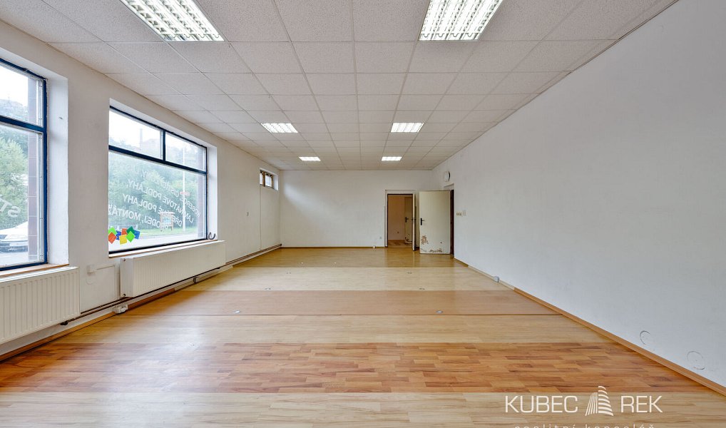 Prodej obchodních prostor 237 m², Tábor – náhled fotky 5