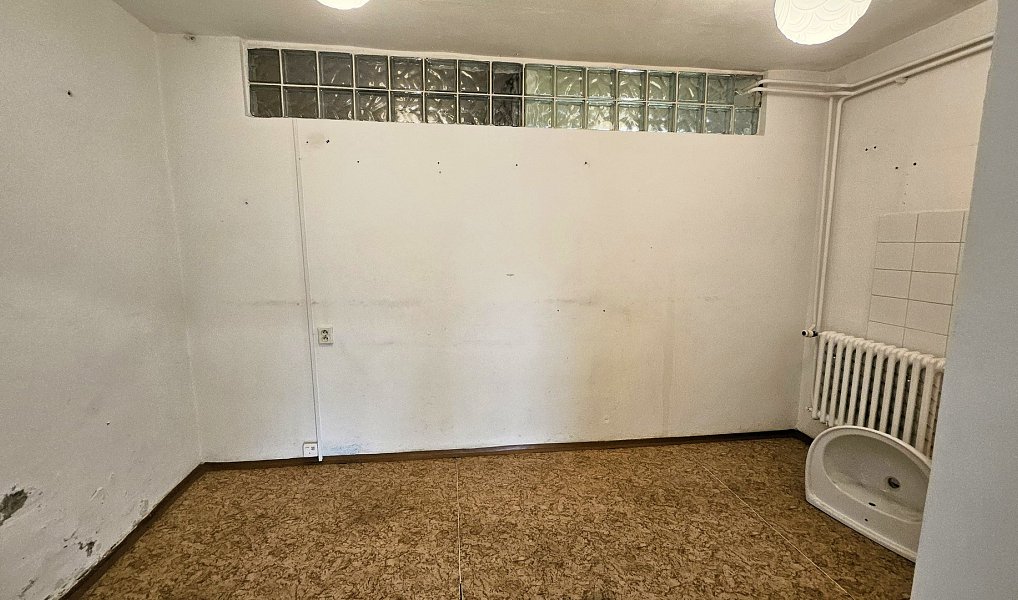 Pronájem obchodních prostor 150 m², Nové Město pod Smrkem – náhled fotky 11