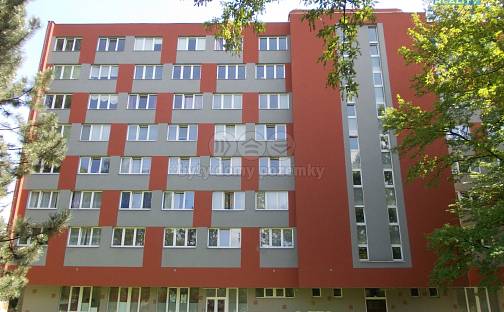 Pronájem bytu 1+kk 22 m², Plzeňská, Ostrava - Zábřeh