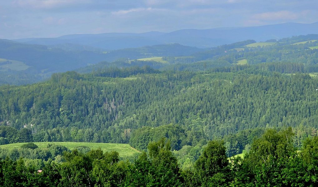 Prodej louky 10 451 m², Vlastiboř – náhled fotky 6
