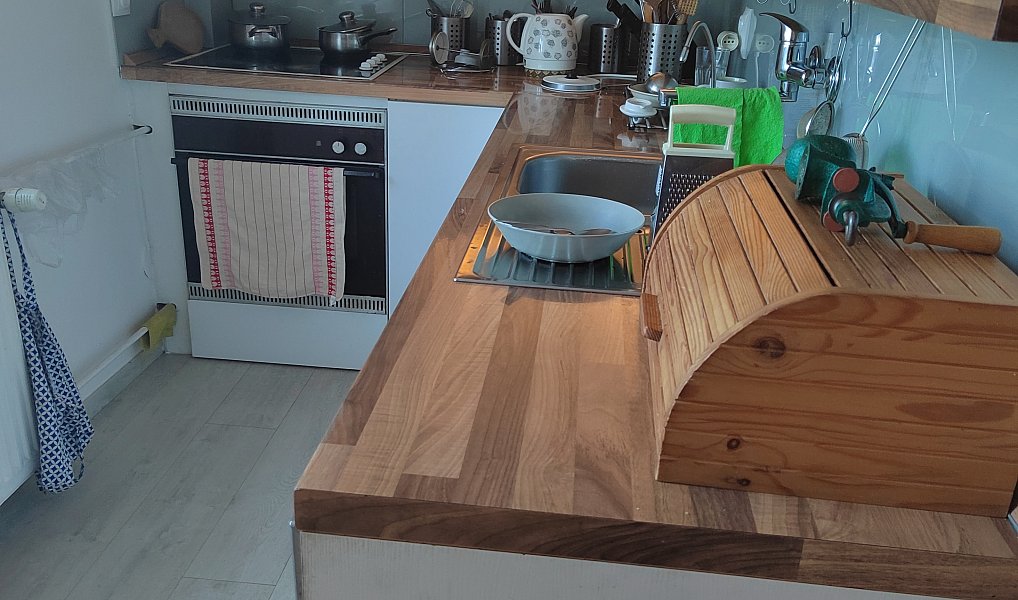 Prodej domu 94 m² s pozemkem 233 m², Zruč-Senec – náhled fotky 7