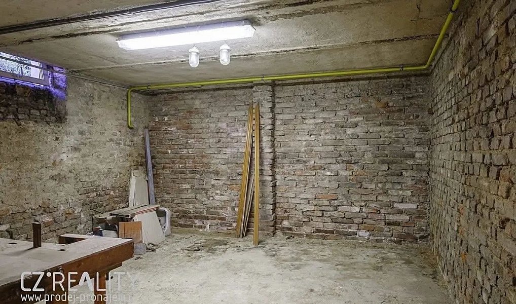 Prodej domu 300 m² s pozemkem 1 300 m², Praha – náhled fotky 29