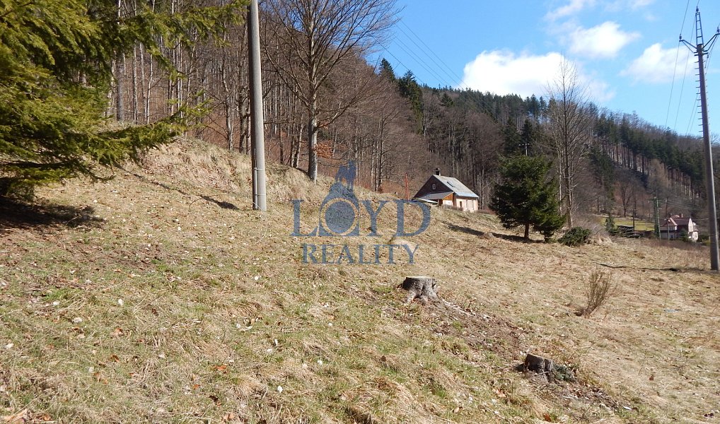 Prodej domu 169 m² s pozemkem 4 737 m², Merklín – náhled fotky 41