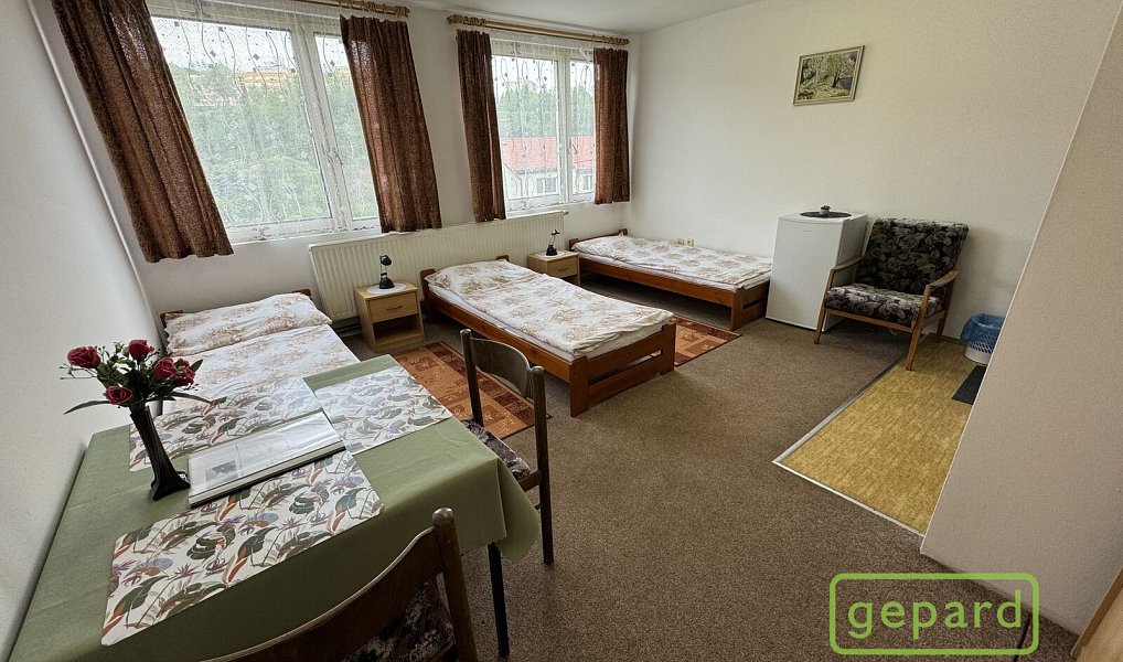 Prodej ubytovacího objektu 800 m², Český Krumlov – náhled fotky 15